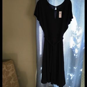 Ann Taylor NWT navy dress
